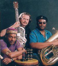 hans theessink & blue groove